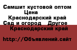 Самшит кустовой оптом › Цена ­ 250 - Краснодарский край Сад и огород » Другое   . Краснодарский край